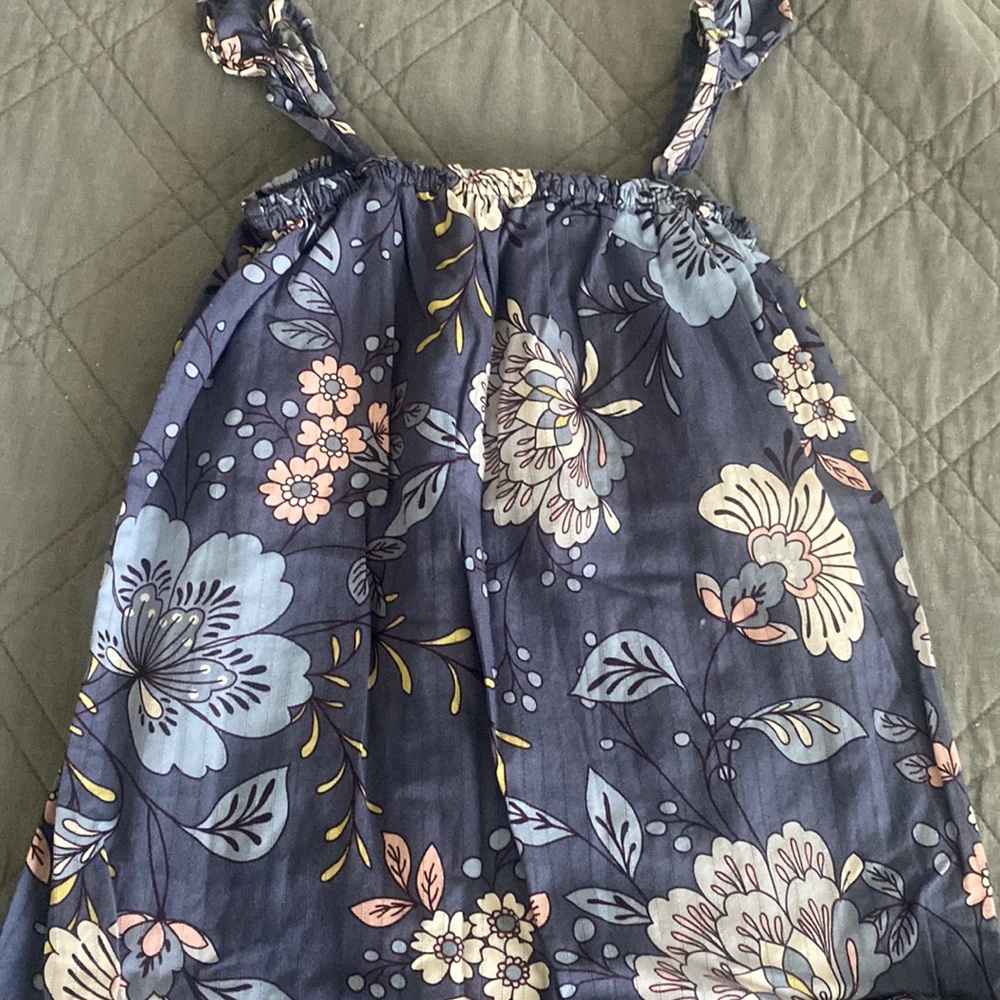 Girls Baby Gap dress sz 5 blue floral flowers sleeveless summer lined